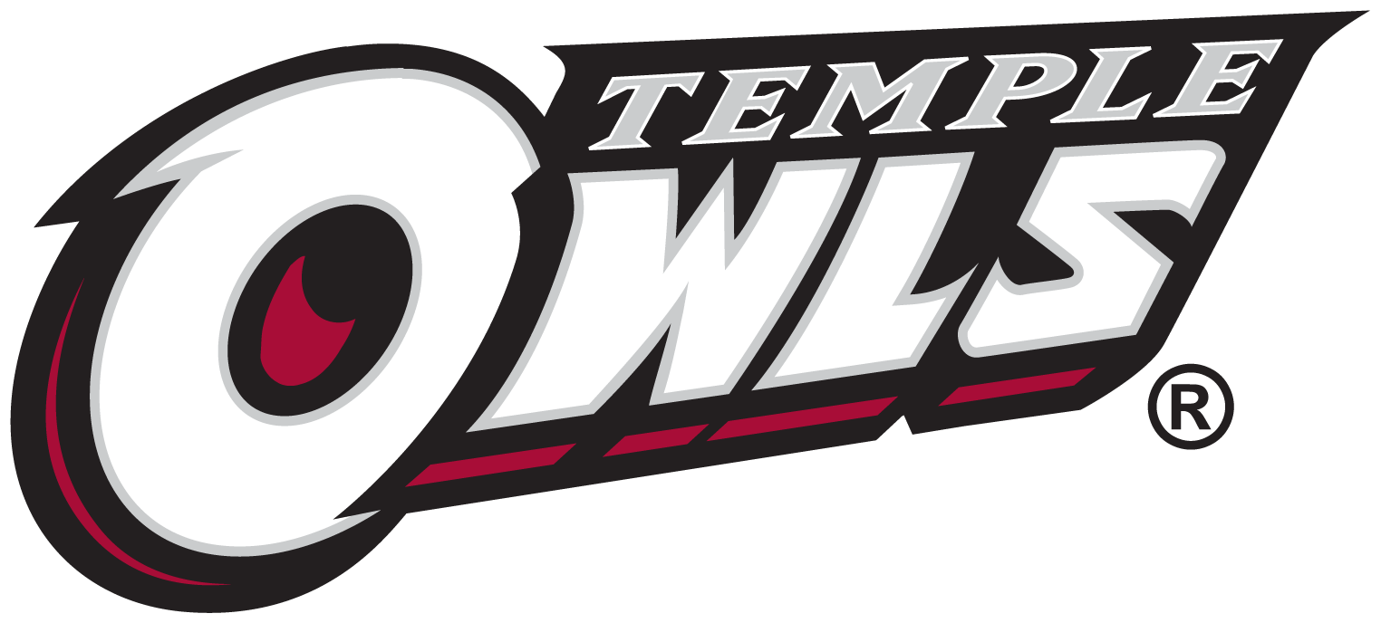 Temple Owls 1996-Pres Wordmark Logo v3 iron on transfers for clothing